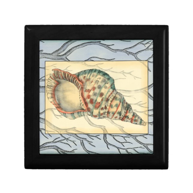 Seashell and Tree Branches Jewelry Box (Front)