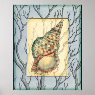 Seashell and Tree Branches Poster