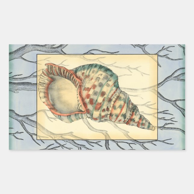 Seashell and Tree Branches Rectangular Sticker (Front)