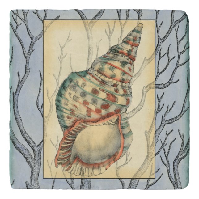 Seashell and Tree Branches Trivet (Front)