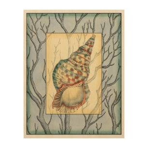 Seashell and Tree Branches Wood Wall Decor