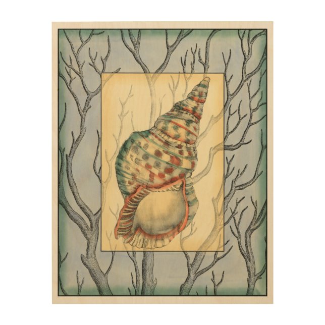 Seashell and Tree Branches Wood Wall Decor (Front)