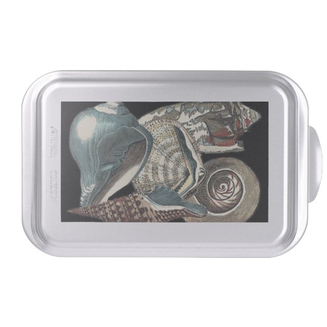 Seashell Anthology Cake Pan (Front)