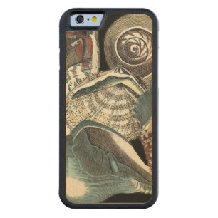 Seashell Anthology Carved Maple iPhone 6 Bumper Case