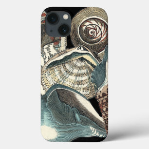 Seashell Anthology iPhone 13 Case