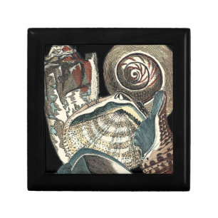 Seashell Anthology Gift Box