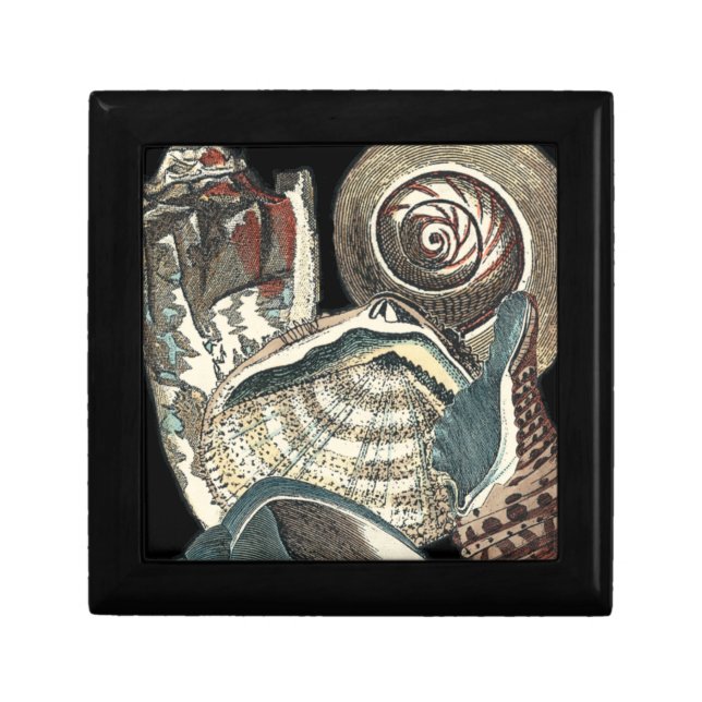 Seashell Anthology Gift Box (Front)