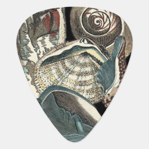 Seashell Anthology Guitar Pick
