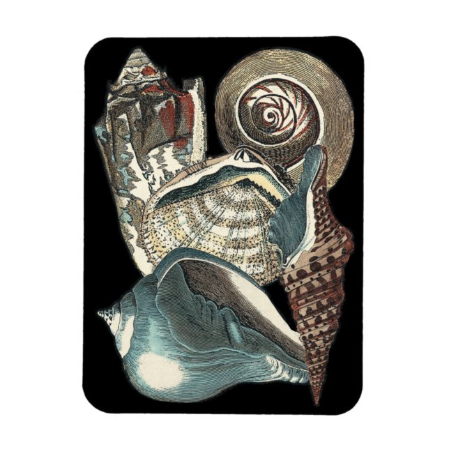 Seashell Anthology Magnet (Vertical)