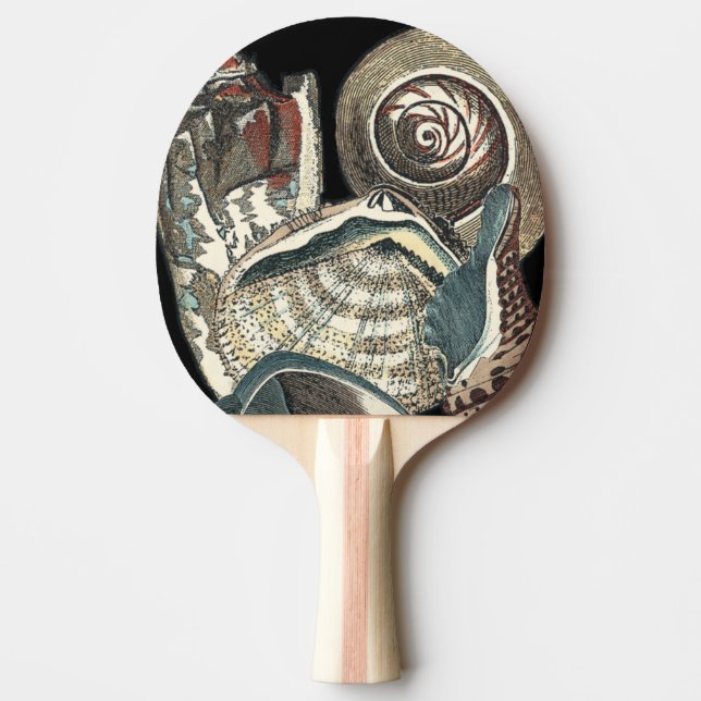 Seashell Anthology Ping-Pong Paddle (Front)