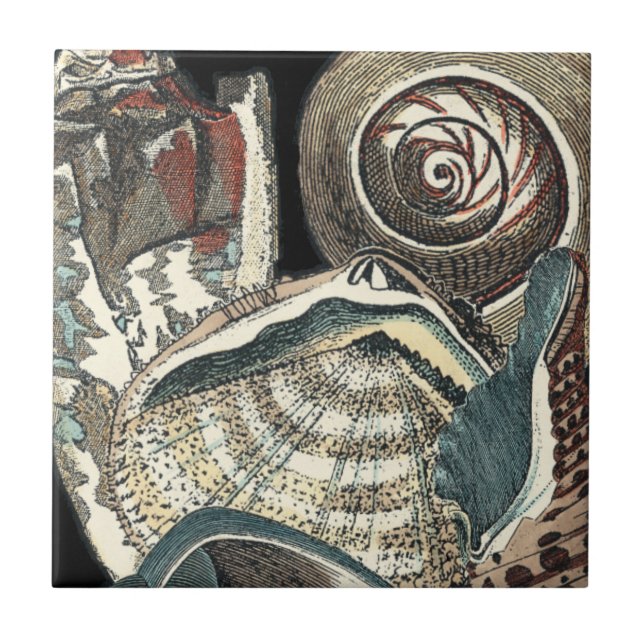Seashell Anthology Tile (Front)