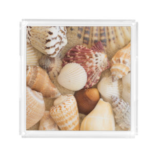 Seashell Arrangement Acrylic Tray