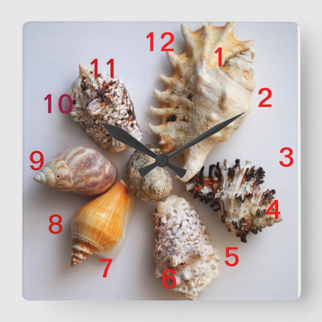 Seashell Arrangement Clock (Front)