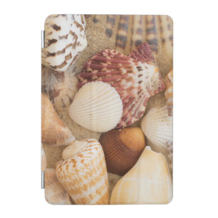 Seashell Arrangement iPad Mini Cover