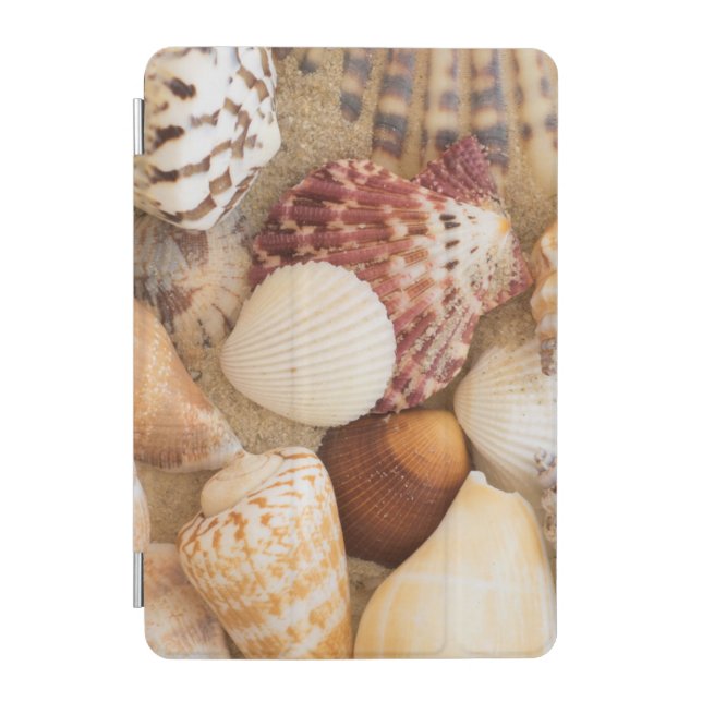 Seashell Arrangement iPad Mini Cover (Front)