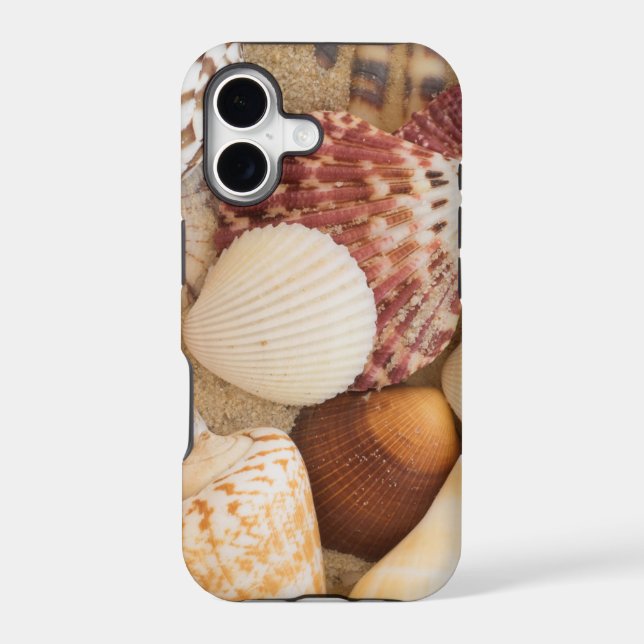 Seashell Arrangement Iphone Case (Back)