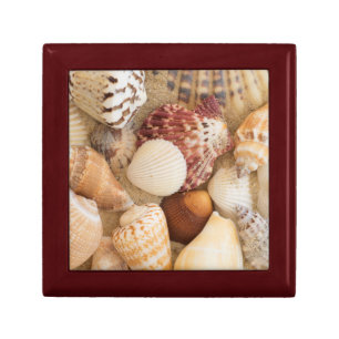 Seashell Arrangement Keepsake Box