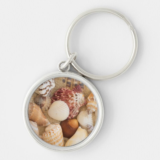 Seashell Arrangement Keychain (Front)