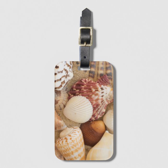 Seashell Arrangement Luggage Tag (Front Vertical)