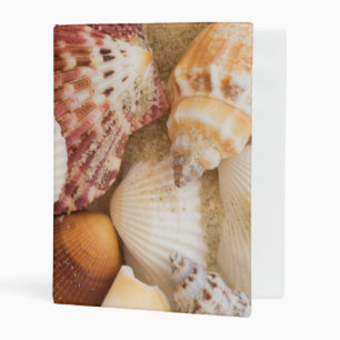 Seashell Arrangement Mini Binder