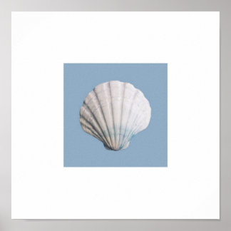 Seashell art print