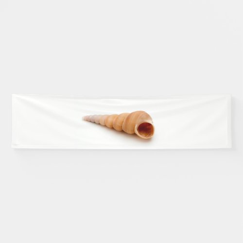 Seashell Banner