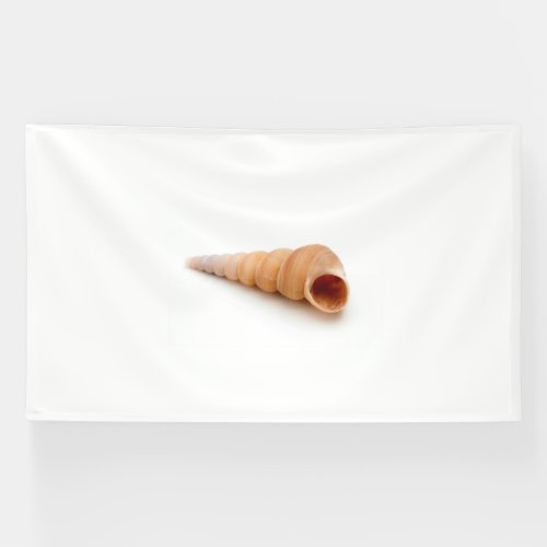 Seashell Banner