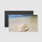 Seashell Beach Magnet Business Card (Front/Back)