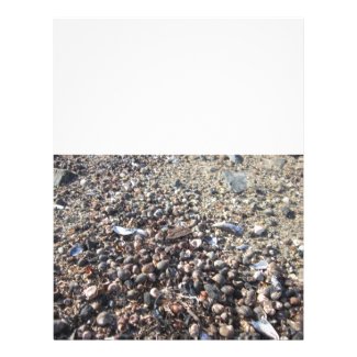 Seashell Beach Ocean Boarder Book of Shadow pages