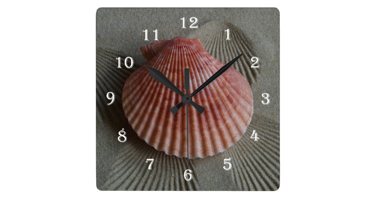 Seashell Beach Wall Clock Zazzle