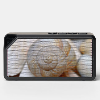 seashell bluetooth speaker