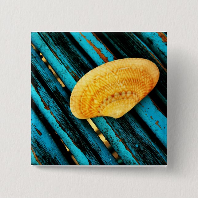 seashell button (Front)