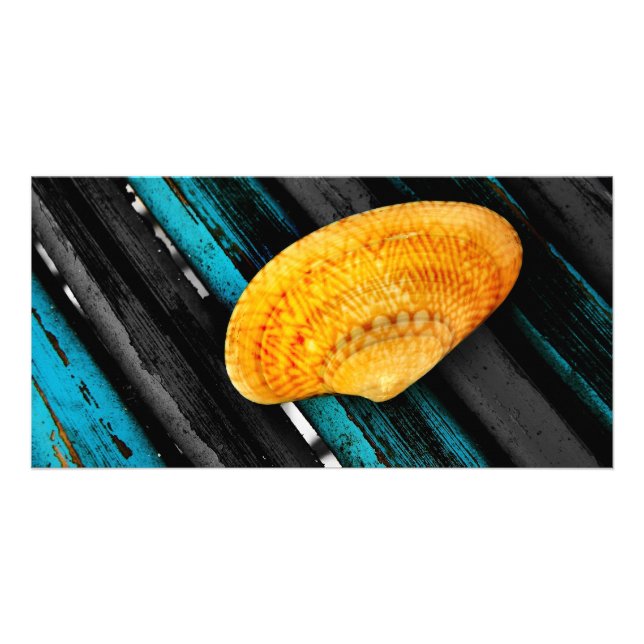 seashell card (Front)