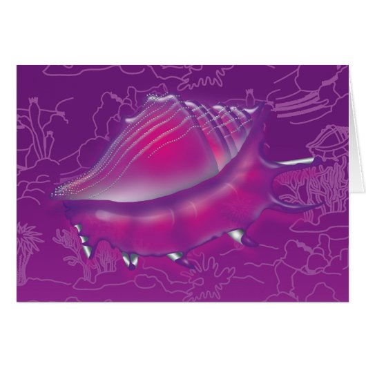 Seashell Cards (Front Horizontal)