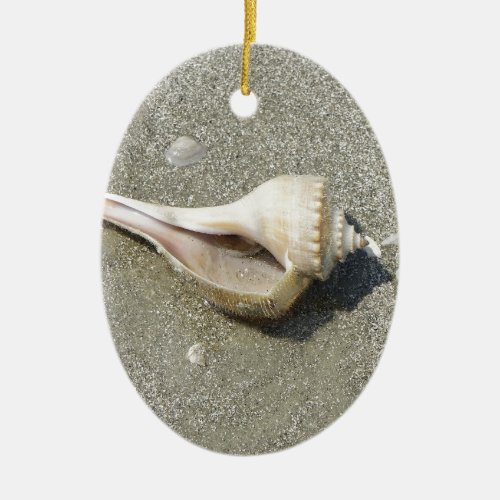 Seashell Ceramic Ornament