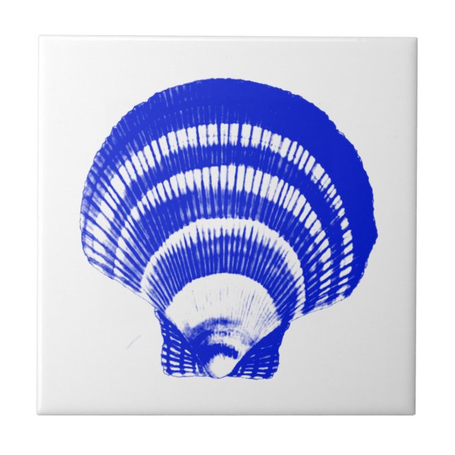 Seashell - cobalt blue and white ceramic tile (Front)