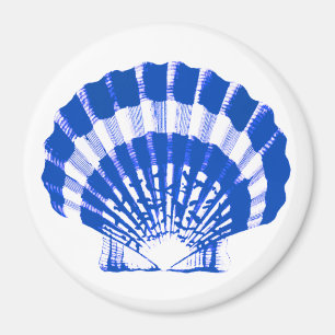 Seashell - cobalt blue and white magnet