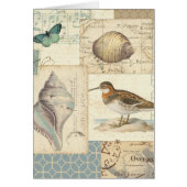 Seashell Collage (Front)