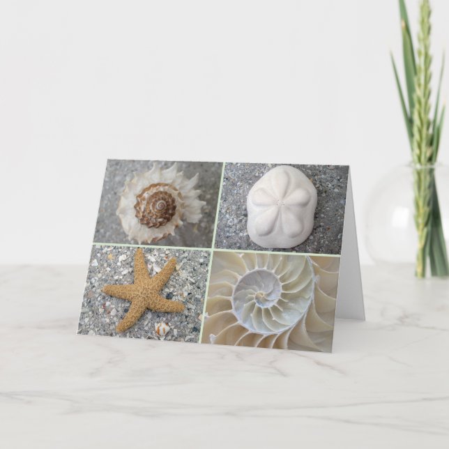 Seashell Collage Card (Front)