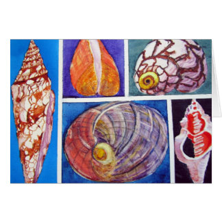 Seashell collage cards