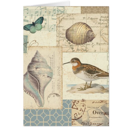 Seashell Collage Cards (Front)