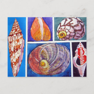 Seashell collage postcard