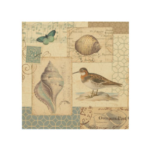 Seashell Collage Wood Wall Decor