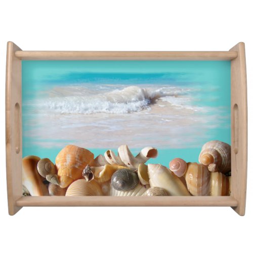 Seashell Collection Coastal Theme Serving Tray