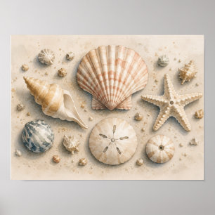 Seashell Collection Poster   Watercolor Coastal