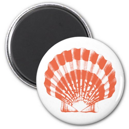 Seashell _ coral orange and white magnet