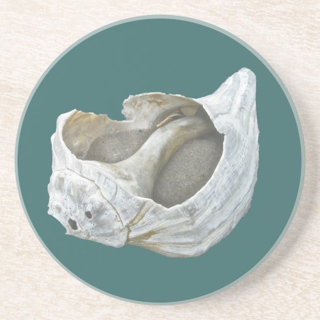 Seashell - Customize Choose your background color Sandstone Coaster (Front)