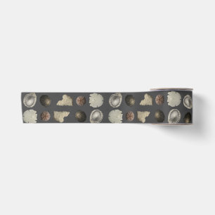 SeaShell Extravaganza Satin Ribbon