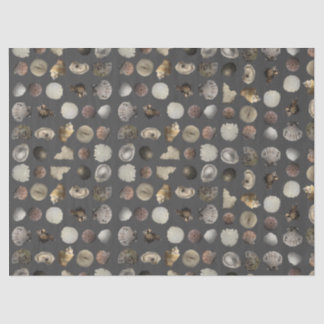 SeaShell Extravaganza Tissue Paper