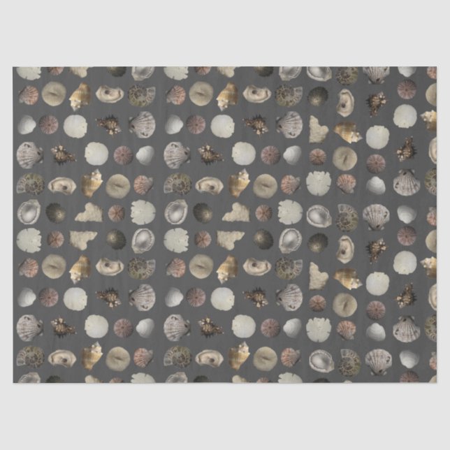 SeaShell Extravaganza  Tissue Paper (Front)